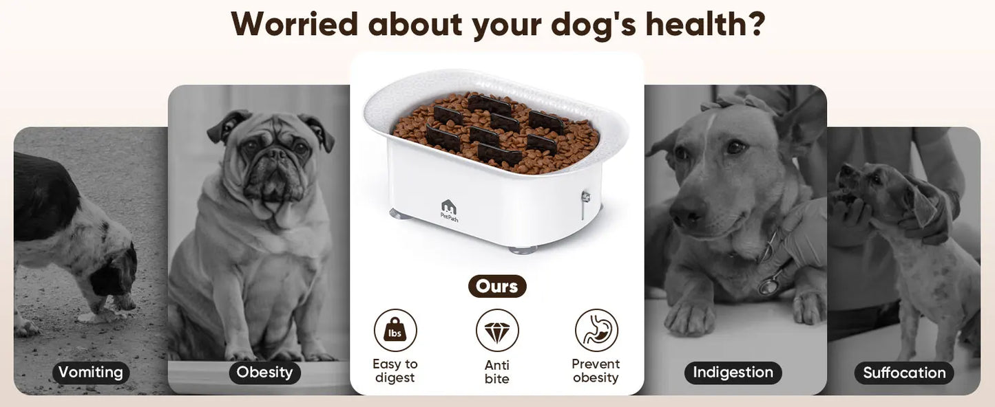 Petpath Slow Feeder