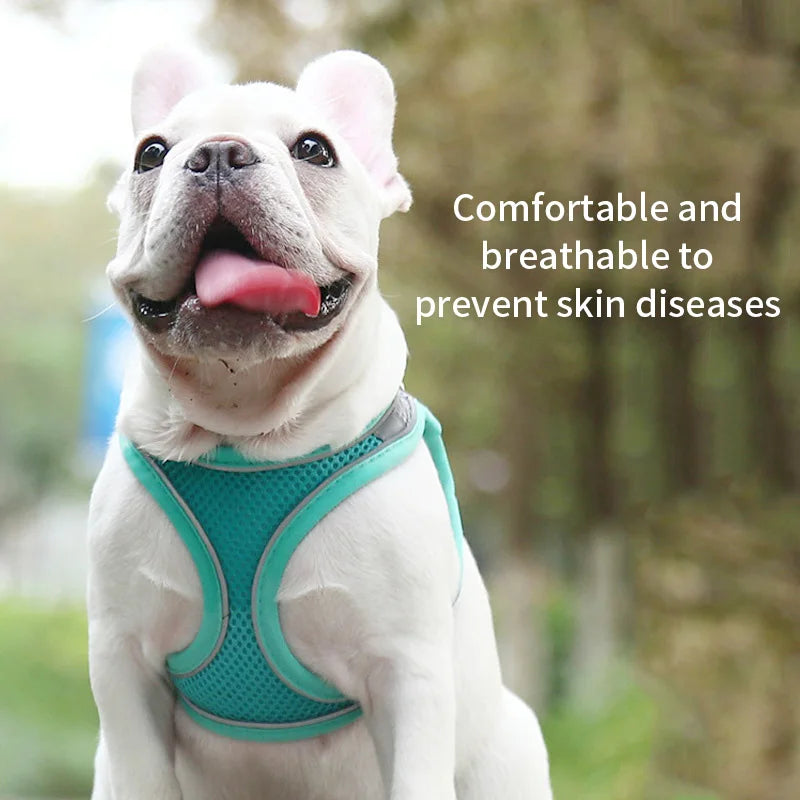 GlowEase Pink/Blue – Soft & Reflective Dog Harness with Leash