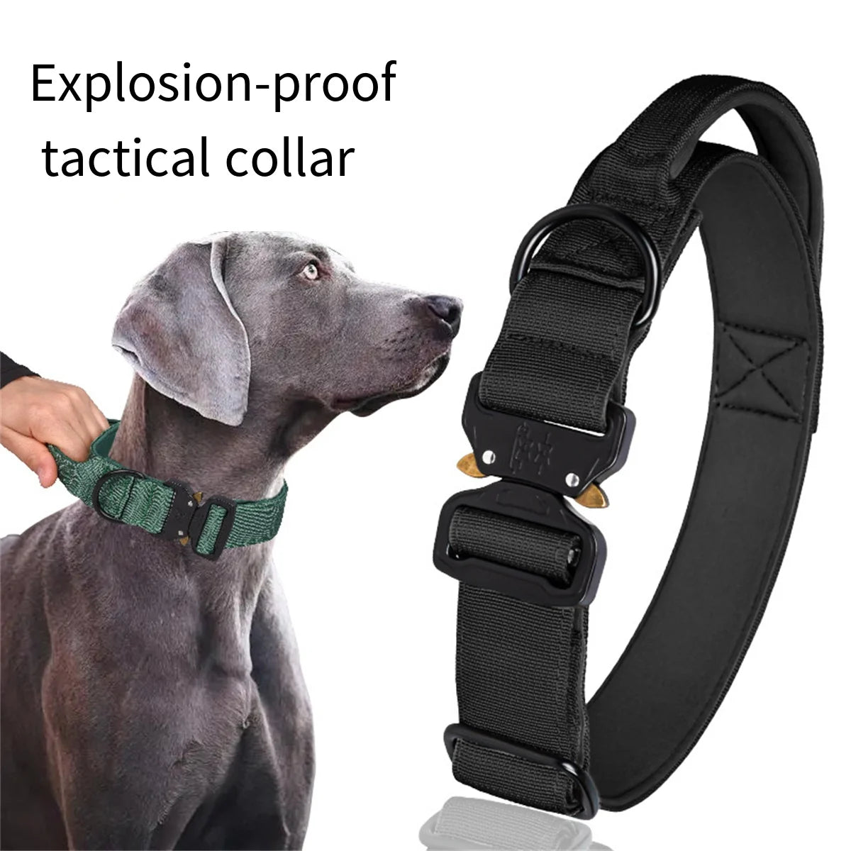 Zooomies Dog Collar 2 - Black