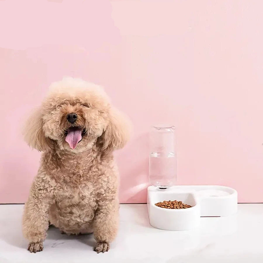 Elevated ComfortFeeder Pink – Double Bowl with Automatic Water Dispenser