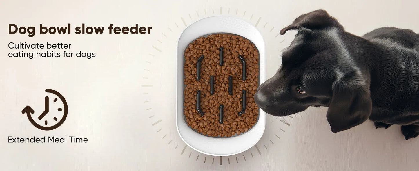 Petpath Slow Feeder