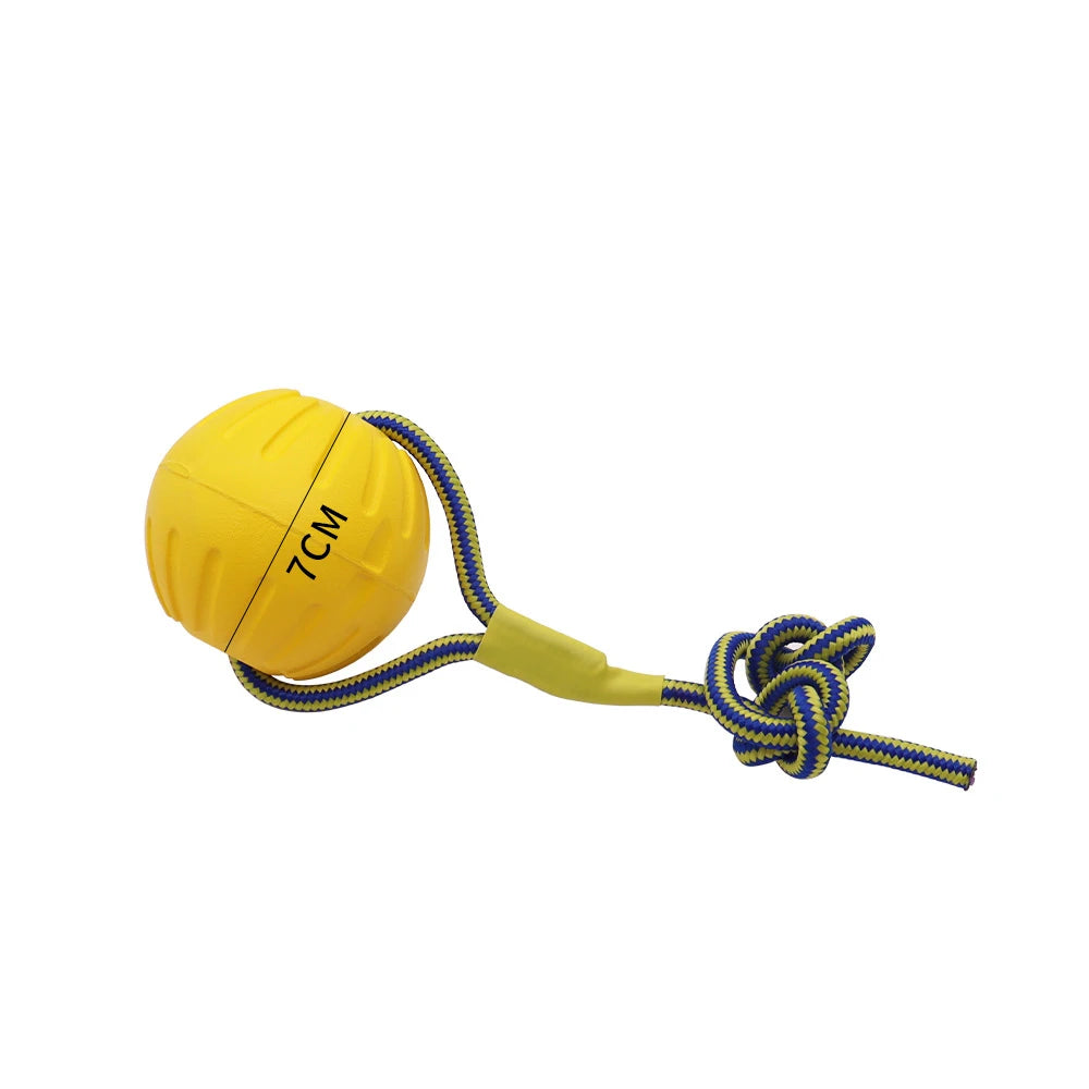 Solid Rubber Ball Training