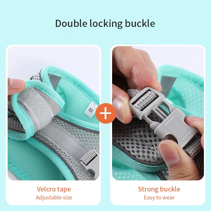 GlowEase Pink/Blue – Soft & Reflective Dog Harness with Leash