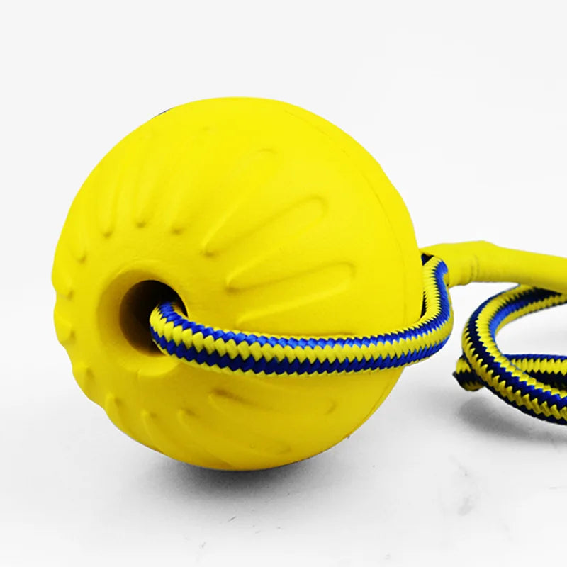 Solid Rubber Ball Training