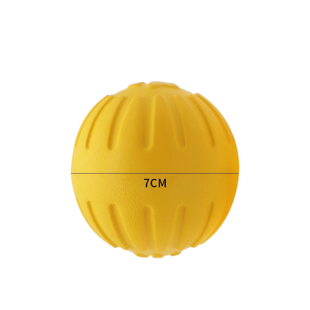 Solid Rubber Ball Training