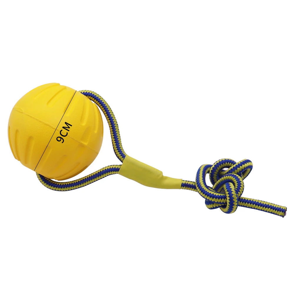 Solid Rubber Ball Training