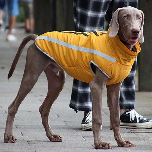 ReflectaWarm Insulated Dog Jacket