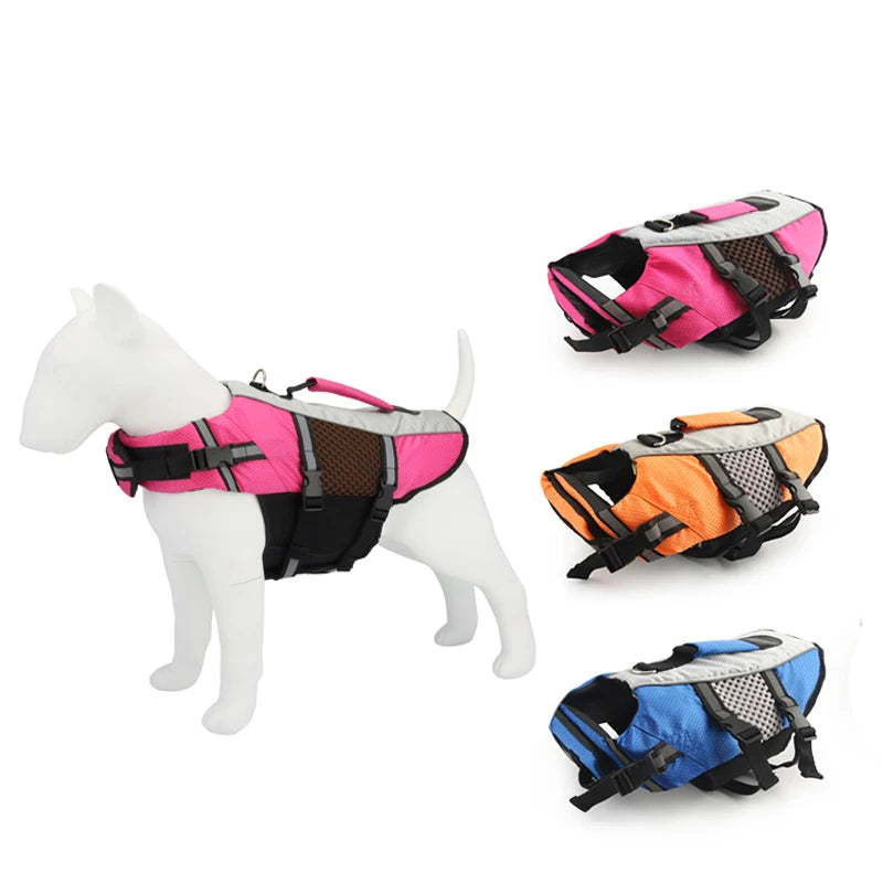 SafeSplash Dog Life Jacket