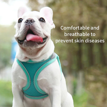 GlowEase Pink/Blue – Soft & Reflective Dog Harness with Leash