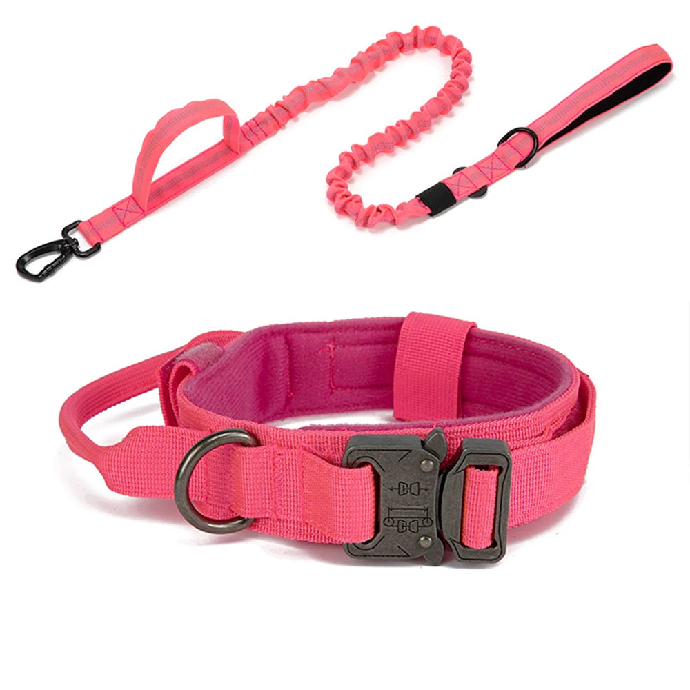 Zooomies Collar and Leash