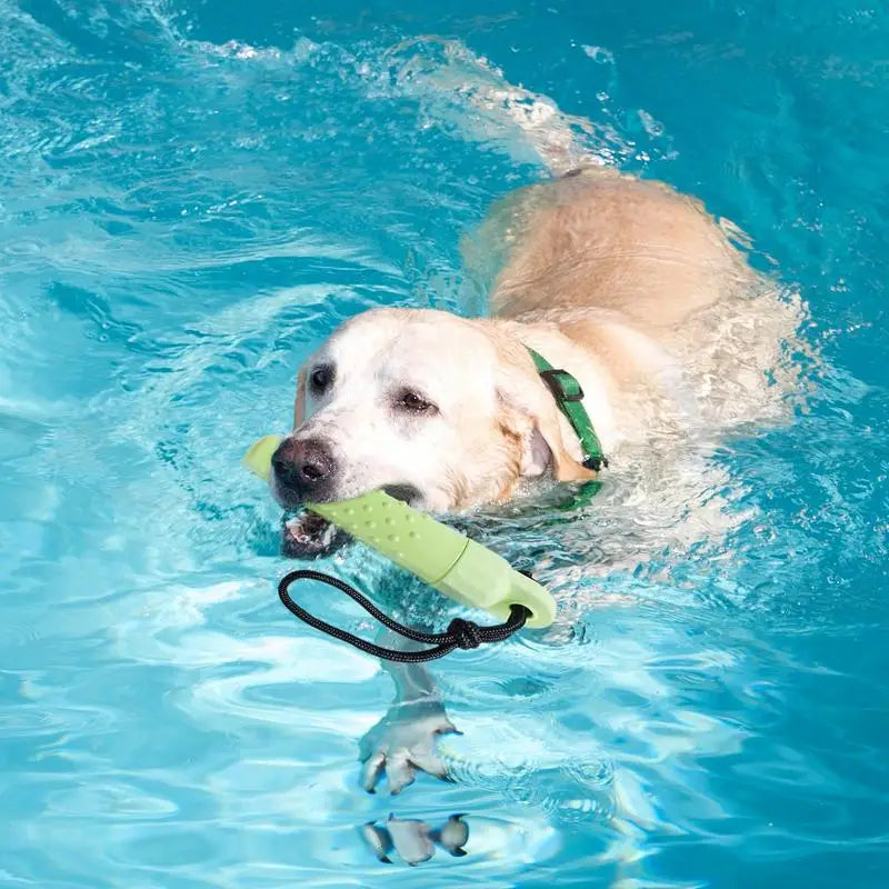 Floating Water Toy