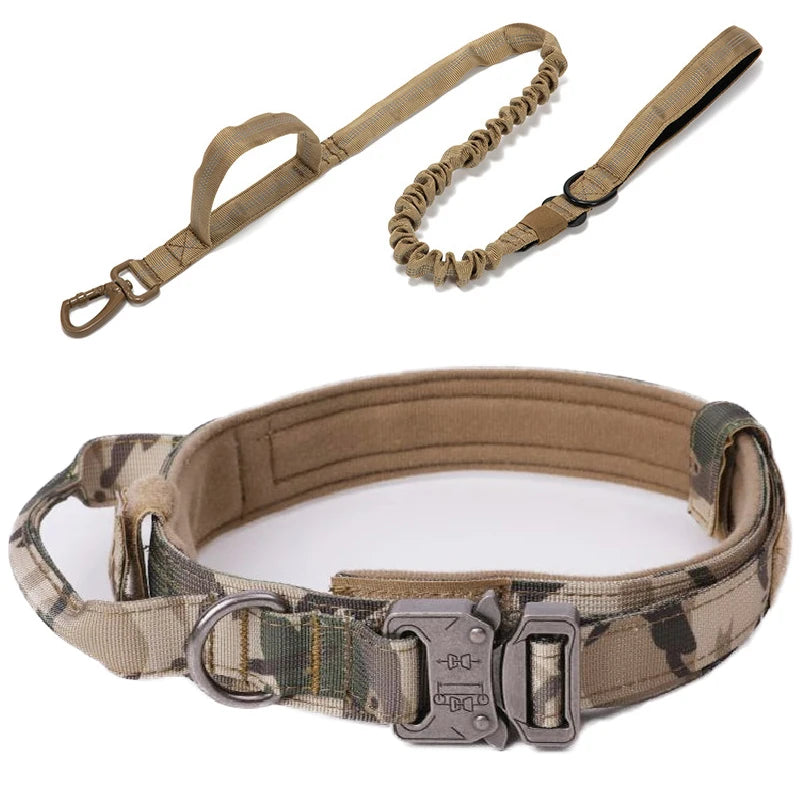 Zooomies Collar and Leash