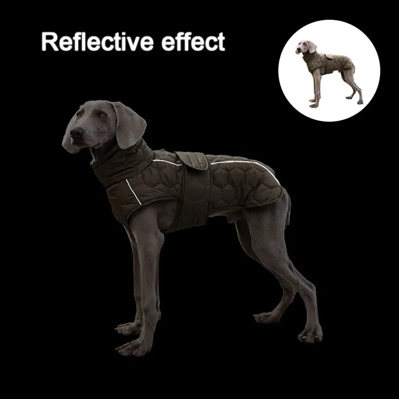 ThermoLite Reflective Dog Coat