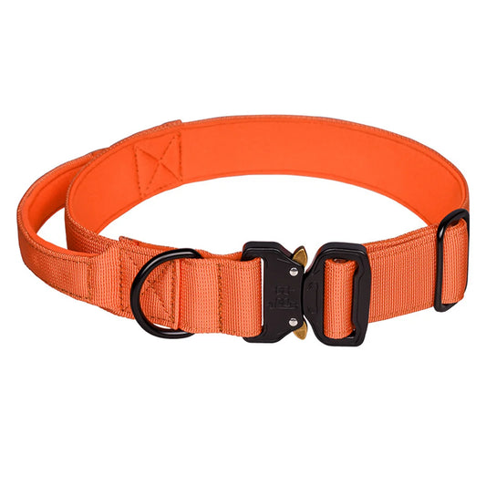 Zooomies Dog Collar 2 - Orange