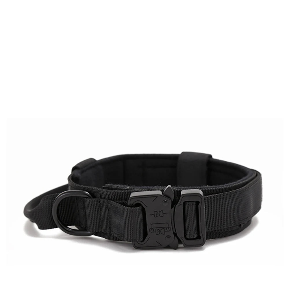 Zooomies Collar and Leash