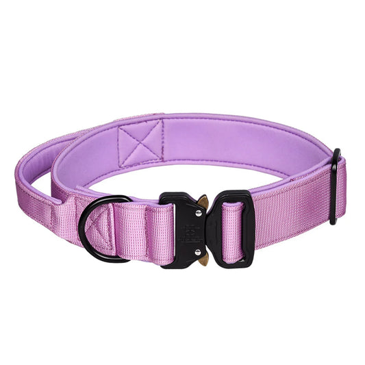 Zooomies Dog Collar 2 - Purple