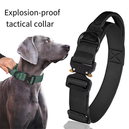 Zooomies Dog Collar 2 - Black