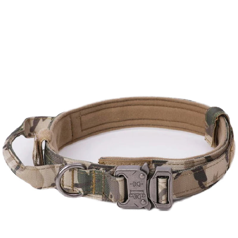 Zooomies Collar and Leash