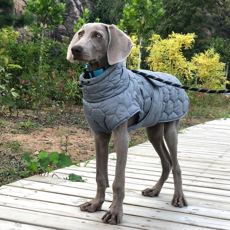 ThermoLite Reflective Dog Coat