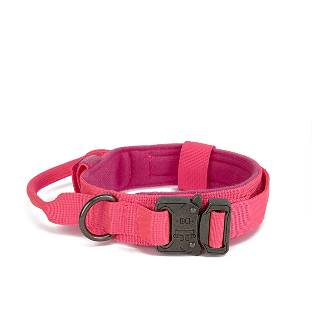 Zooomies Collar and Leash