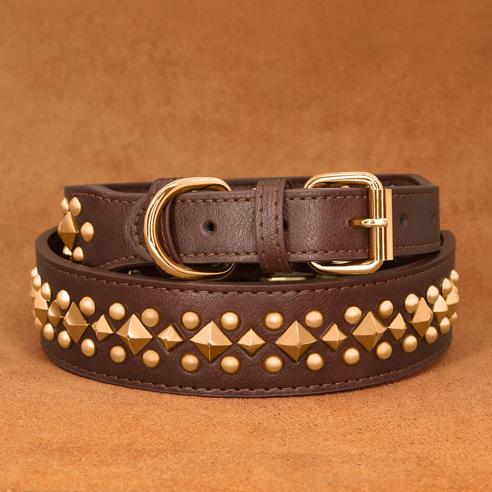 Coffee Studded Dog Collar