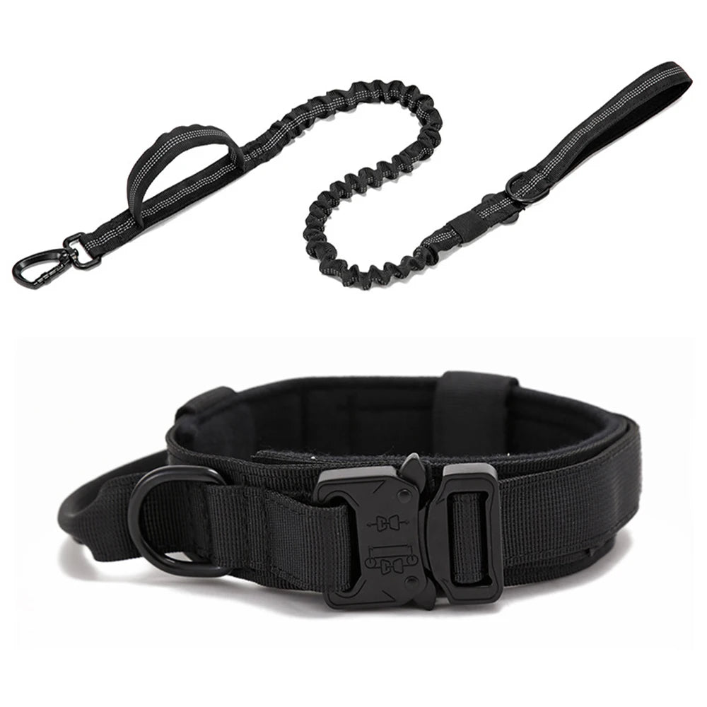 Zooomies Collar and Leash