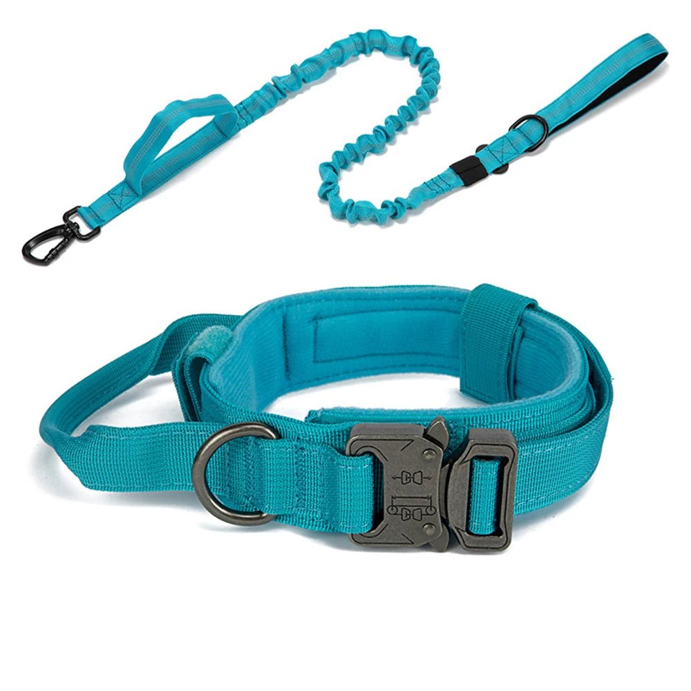 Zooomies Collar and Leash