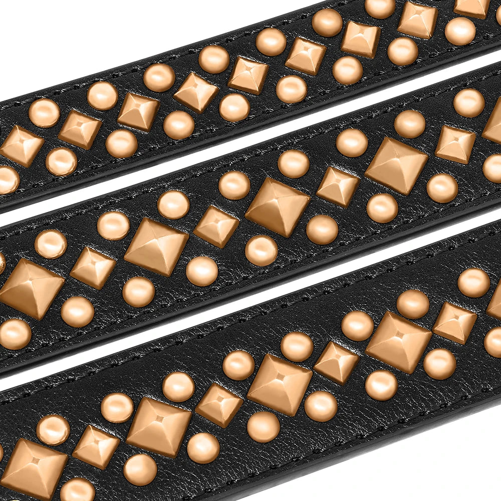 Black Studded Dog Collar