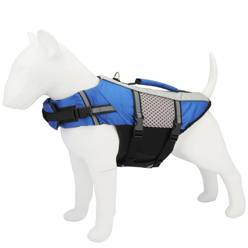 SafeSplash Dog Life Jacket