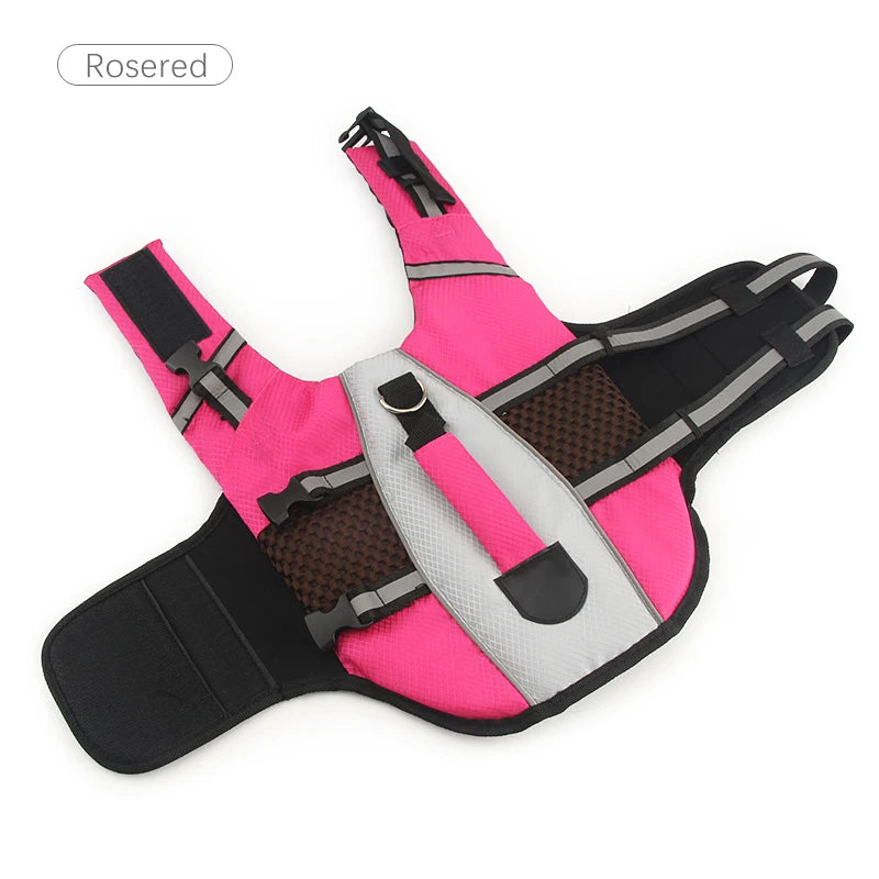 SafeSplash Dog Life Jacket