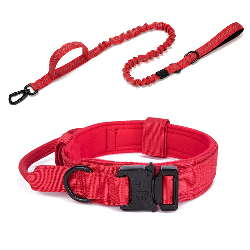 Zooomies Collar and Leash