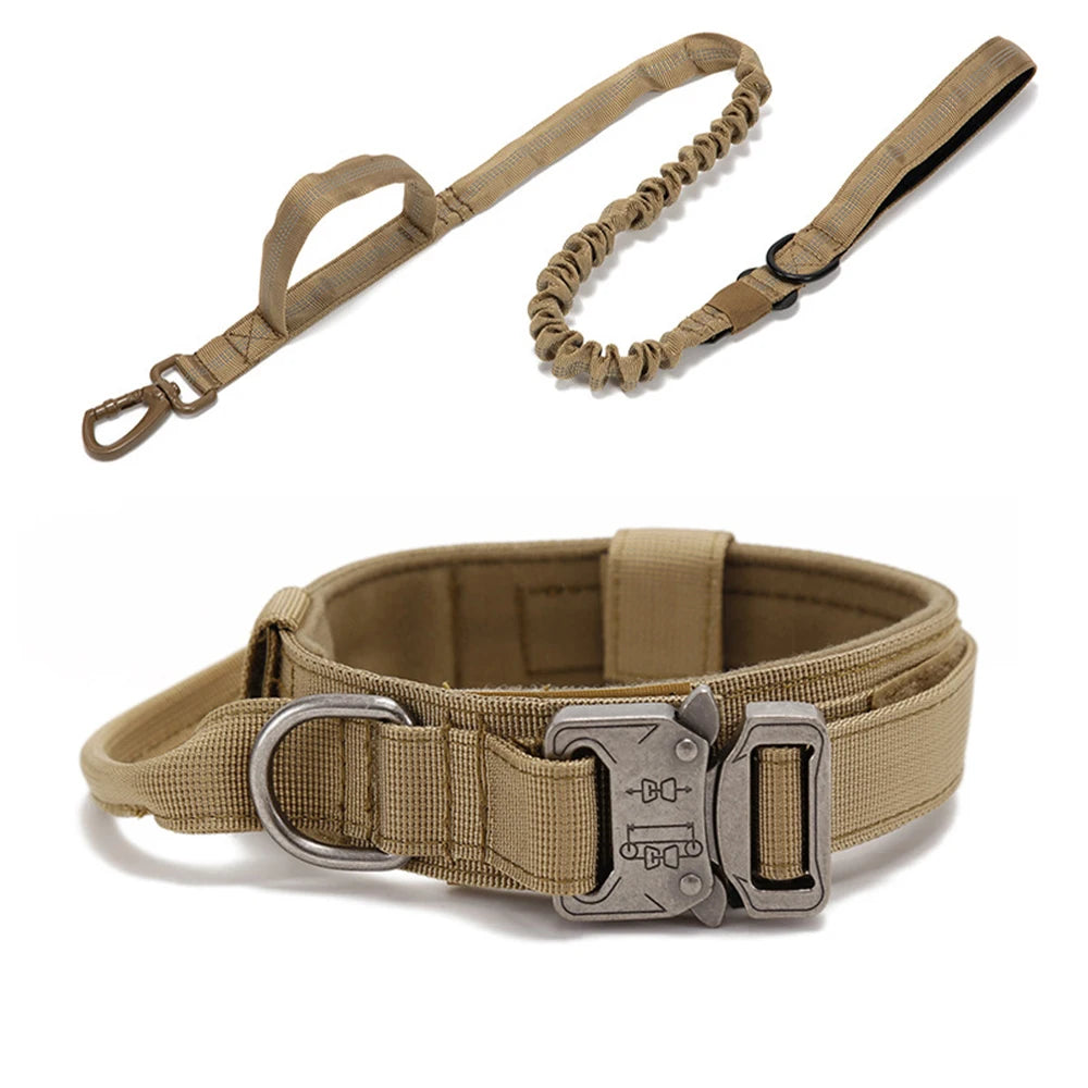 Zooomies Collar and Leash