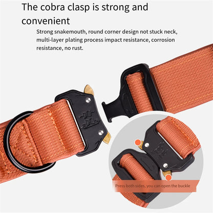 Zooomies Dog Collar 2 - Black