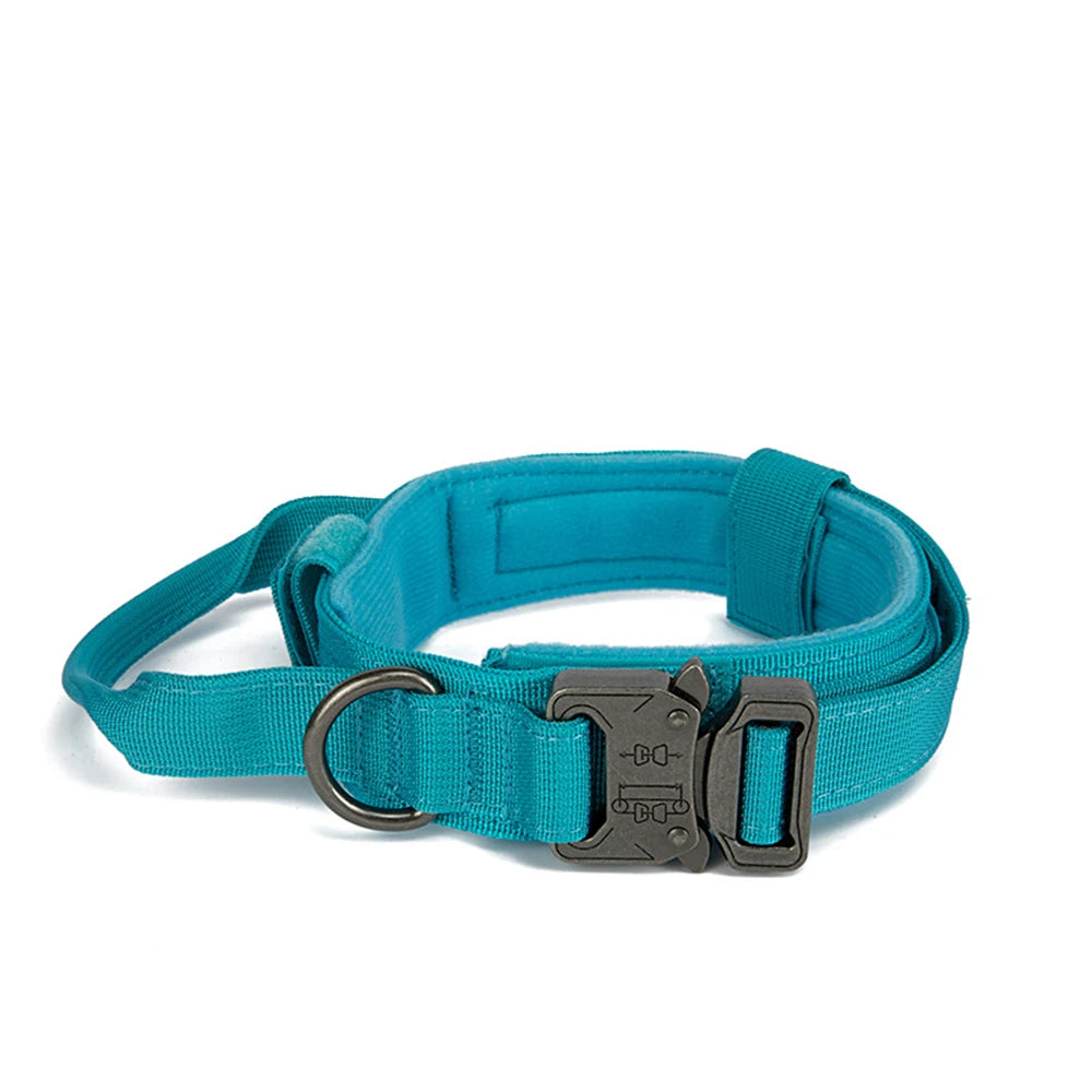 Zooomies Collar and Leash