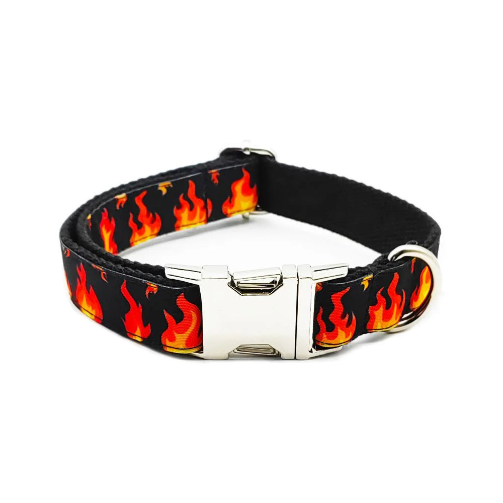 Fire Collars Leash