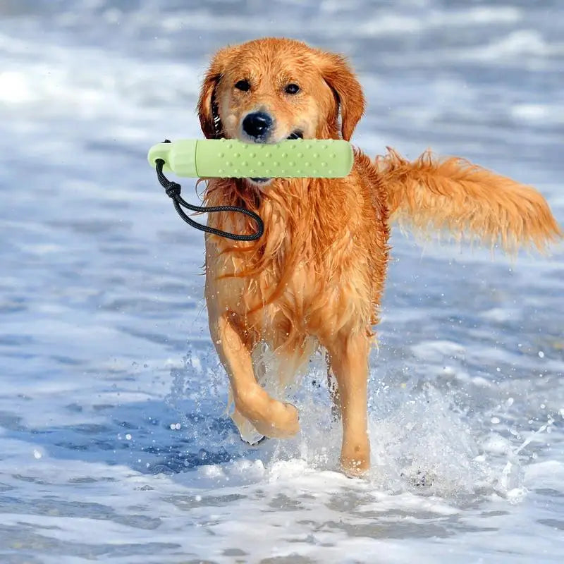 Floating Water Toy