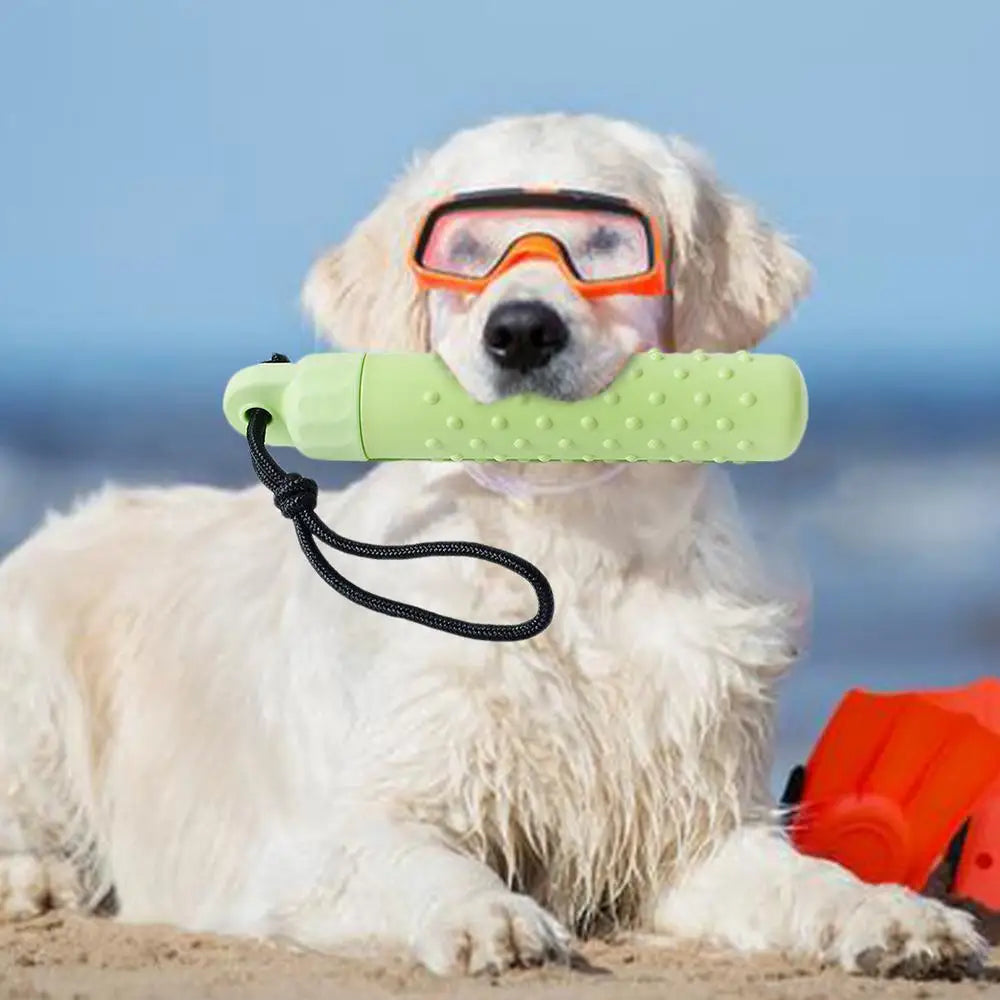 Floating Water Toy