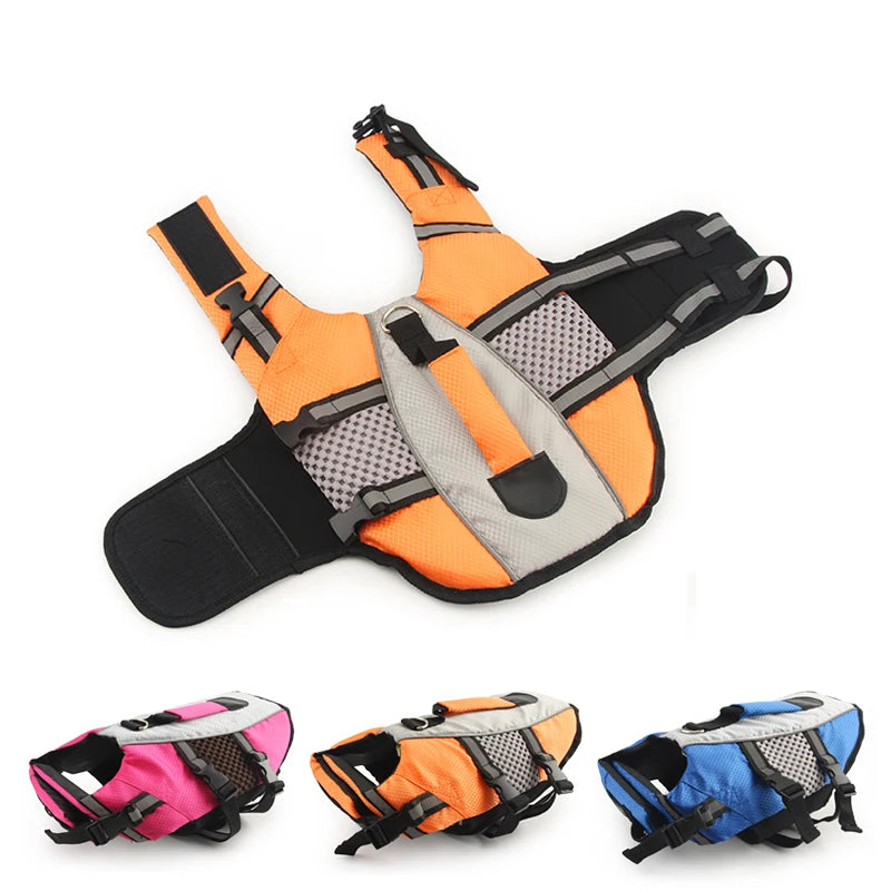 SafeSplash Dog Life Jacket