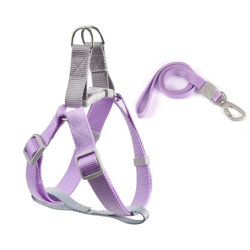 Premium Pet Harness and Leash Set