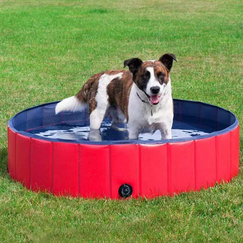 Foldable Swimming Pool