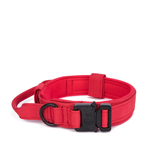 Zooomies Collar and Leash