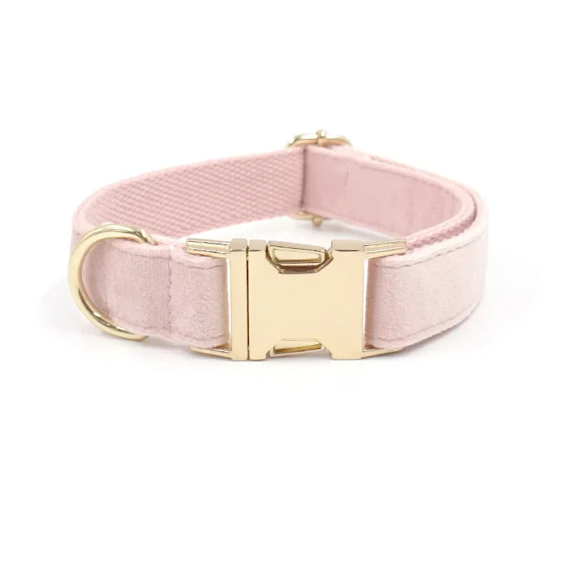 Pink Velvet Collar