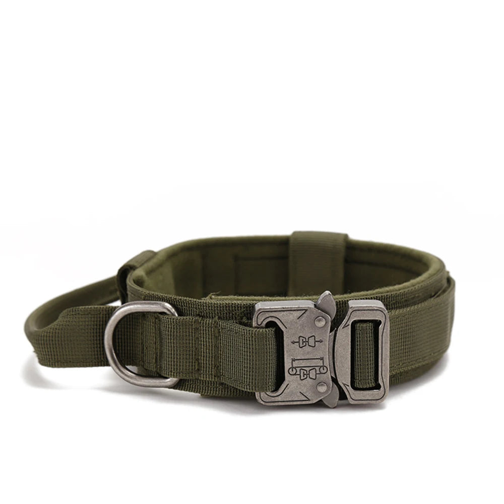 Zooomies Collar and Leash