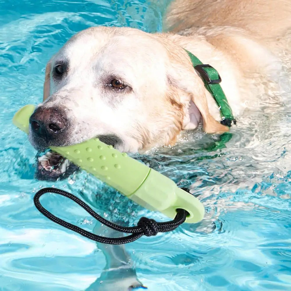 Floating Water Toy