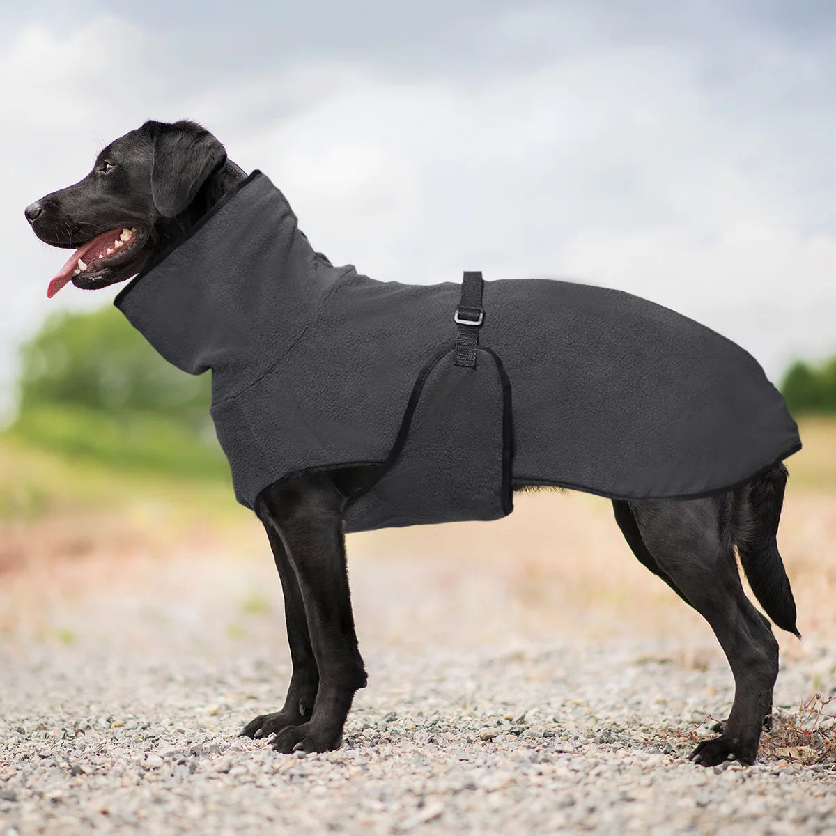 FleeceCozy Dog Vest