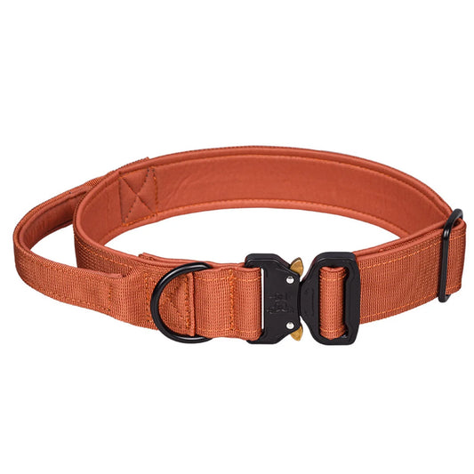 Zooomies Dog Collar 2 - Brown