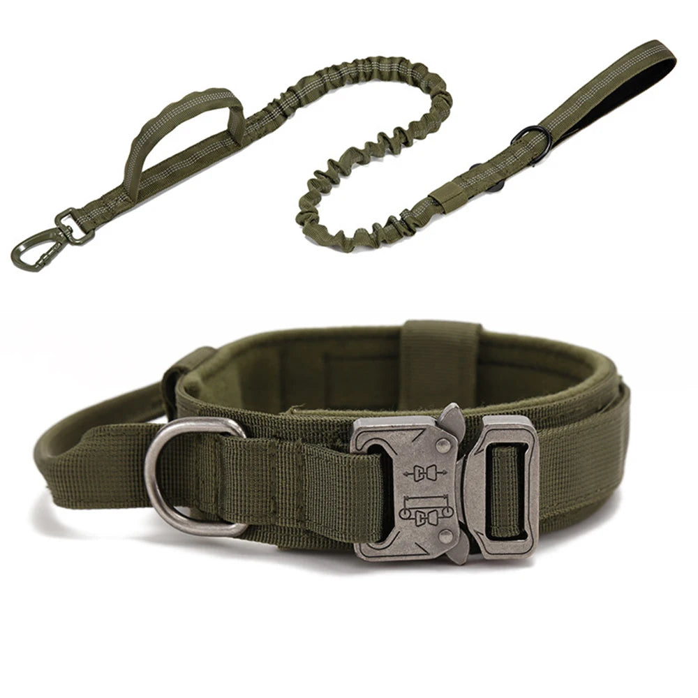 Zooomies Collar and Leash