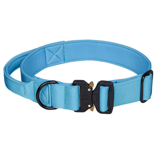 Zooomies Dog Collar 2 - Sky Blue