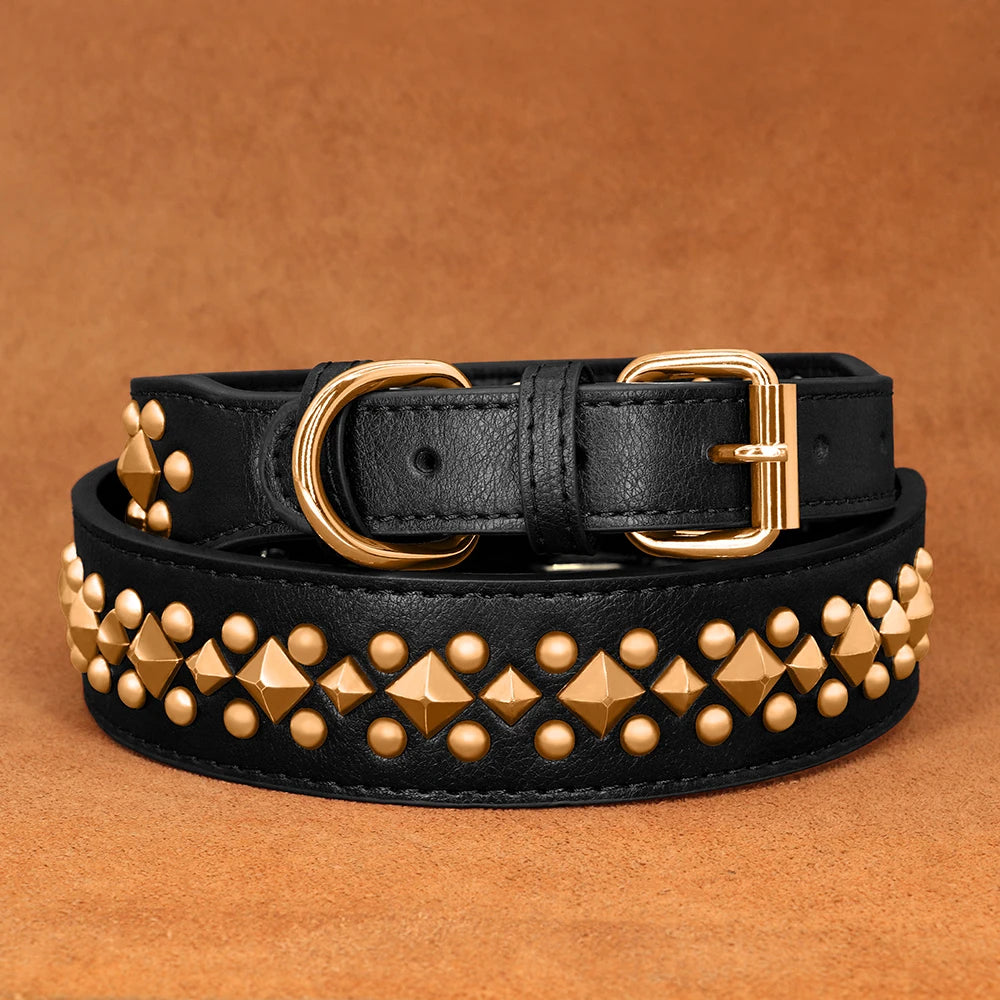 Black Studded Dog Collar