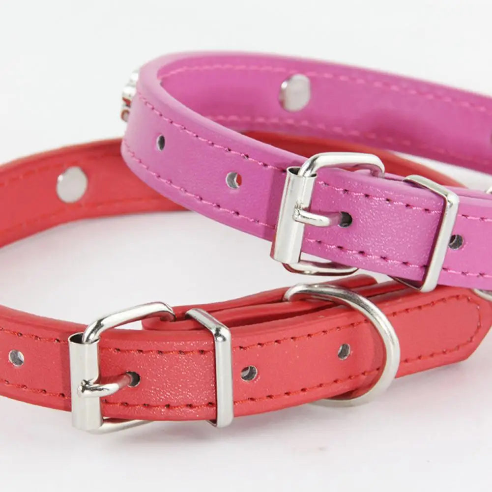 Dog Footprint Collar